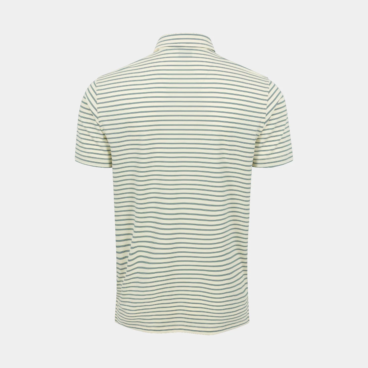 PALE YELLOW/CASINO GREEN || BACK