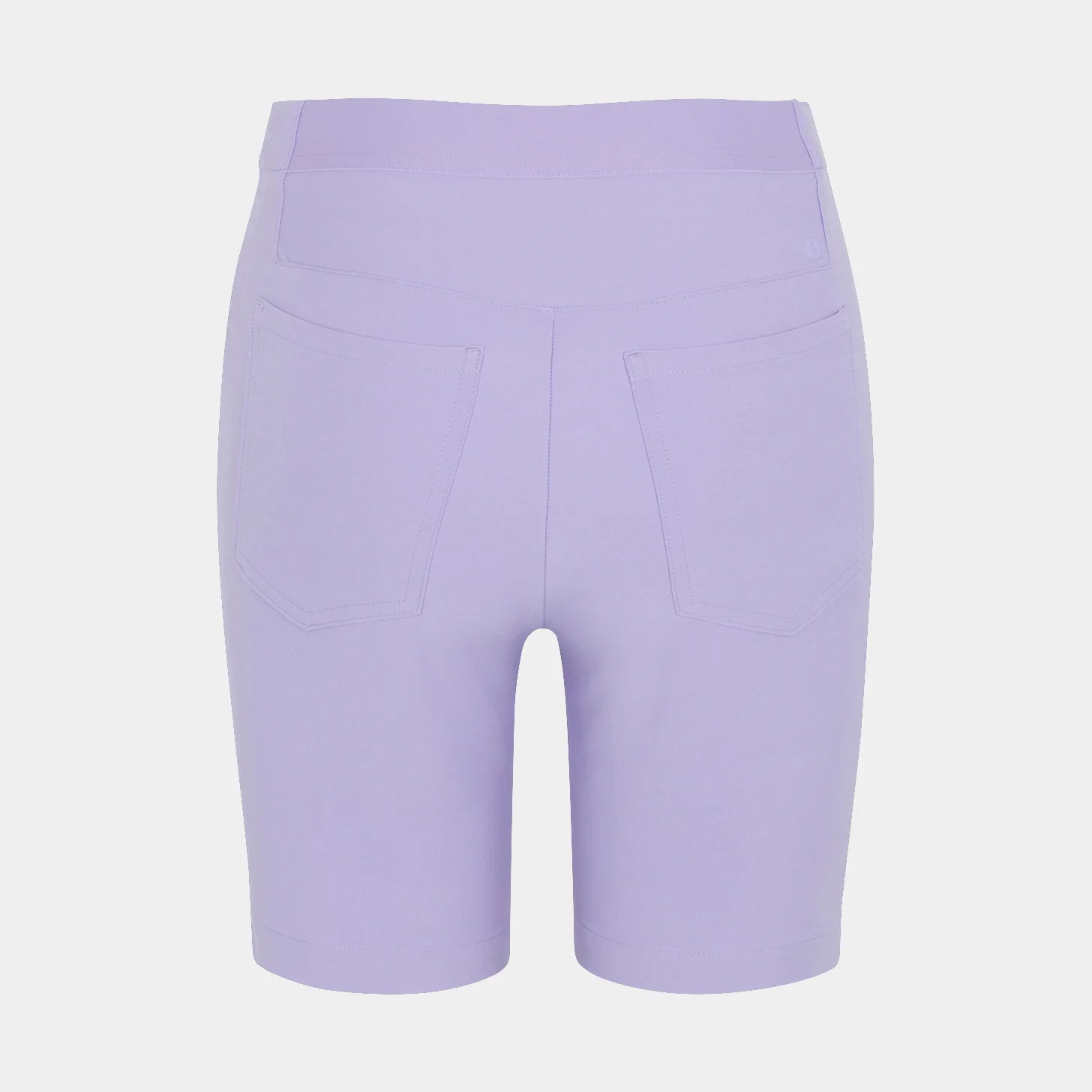 ALLIUM LAVENDER || BACK