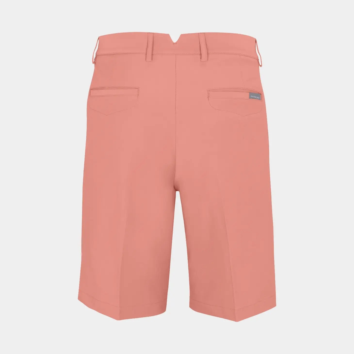 CORAL MIST || BACK