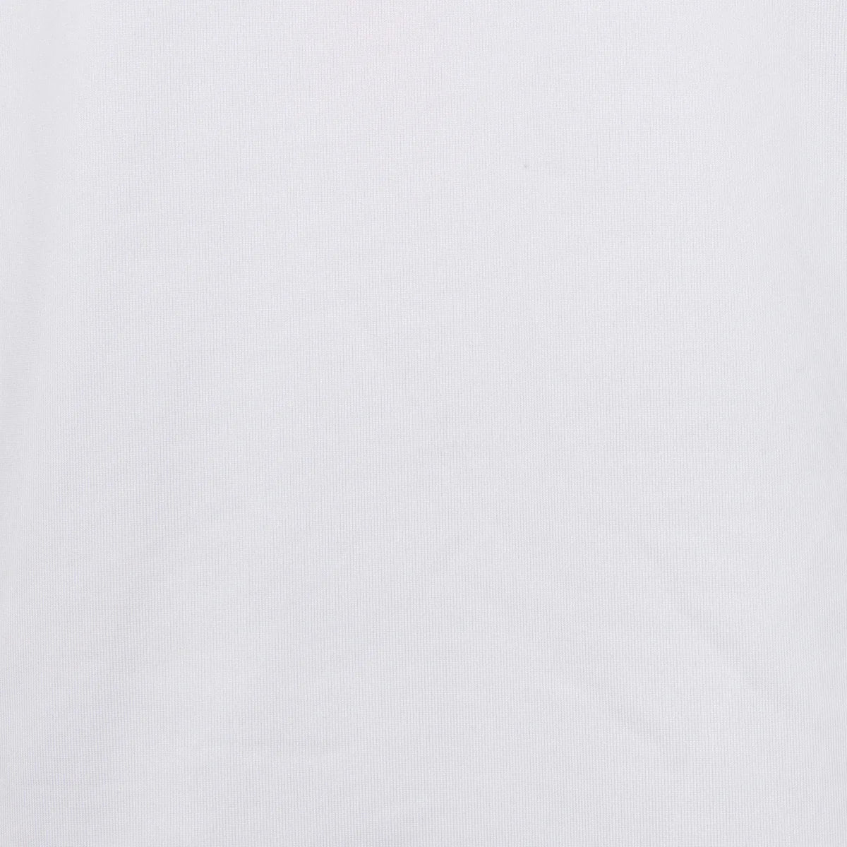 WHITE || Swatch