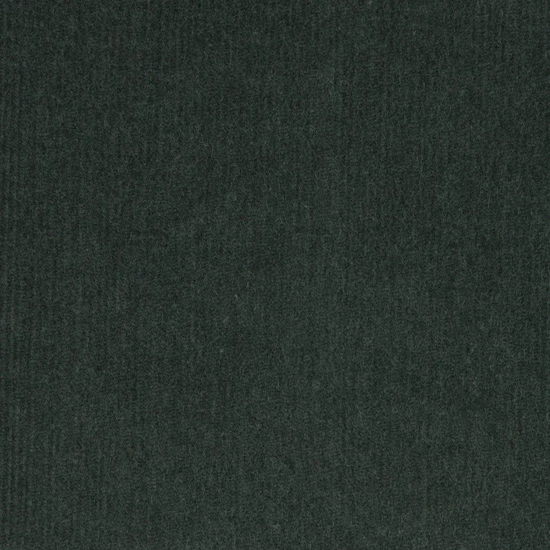 OLIVE || DETAIL
