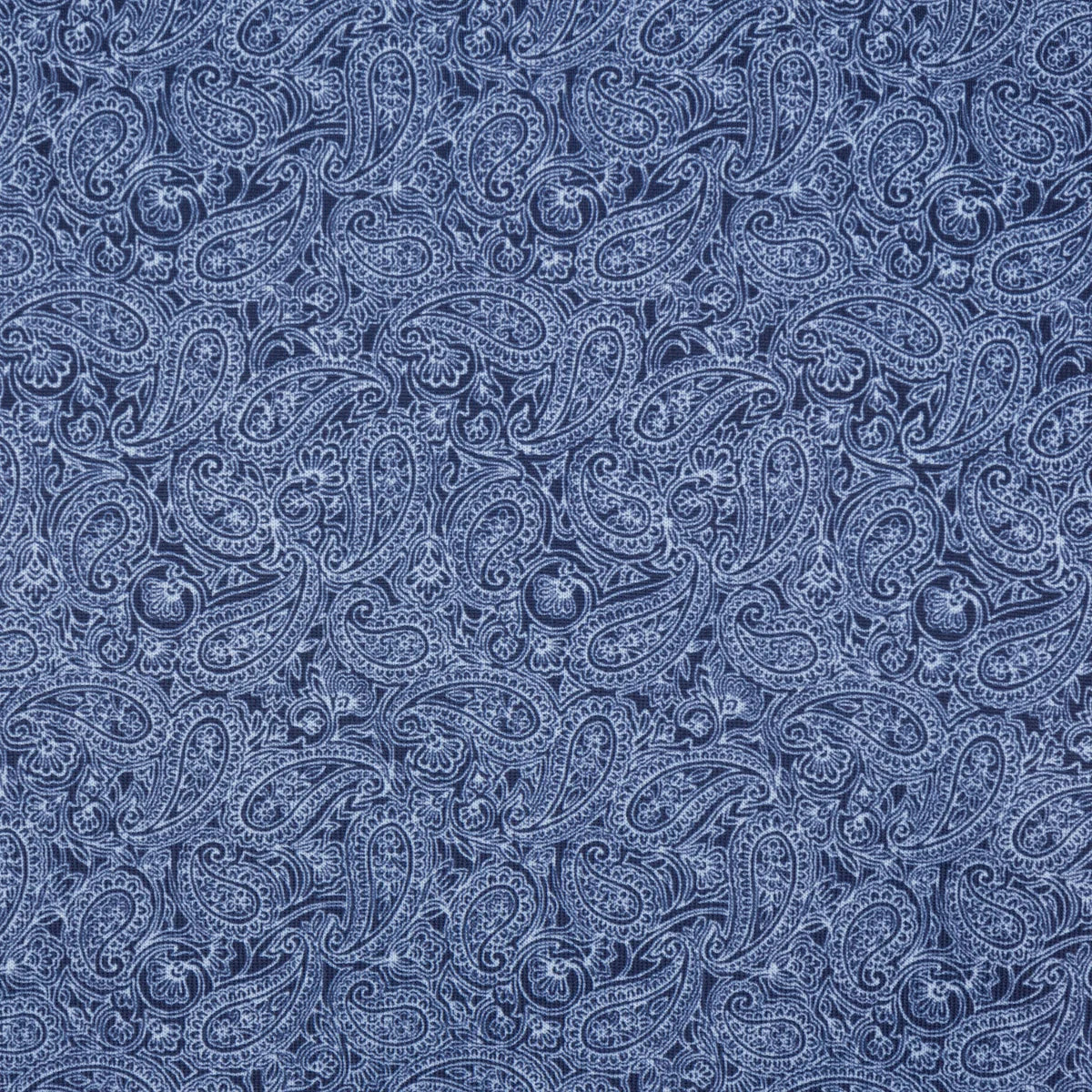 NIGHT SKY || DETAIL