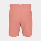 CORAL MIST || BACK