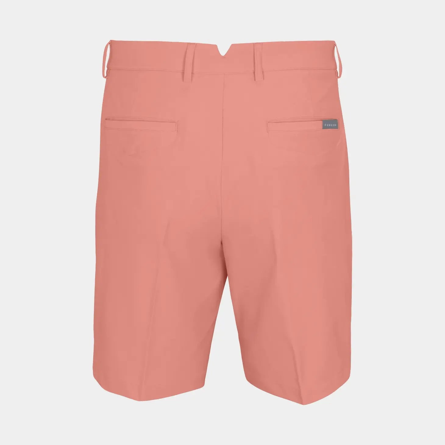 CORAL MIST || BACK