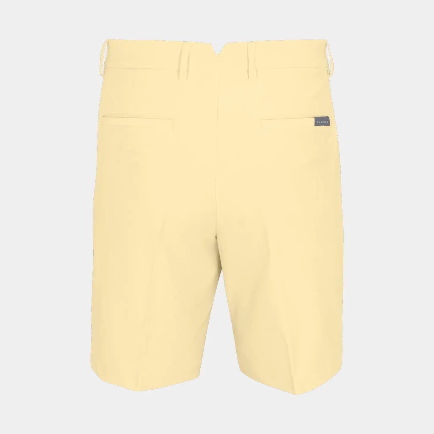 PALE YELLOW || BACK