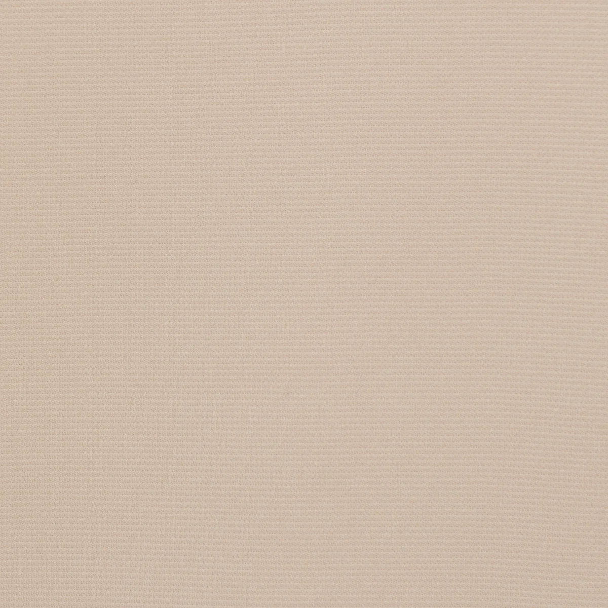 HUMUS || DETAIL